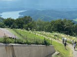野尻湖テラスに投稿された画像（2025/8/4）