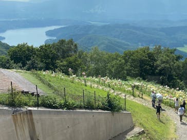 野尻湖テラスに投稿された画像（2025/8/4）