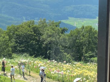野尻湖テラスに投稿された画像（2025/8/4）
