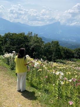 野尻湖テラスに投稿された画像（2025/8/4）