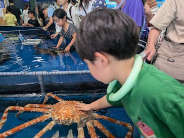 竹島水族館に投稿された画像（2025/8/4）