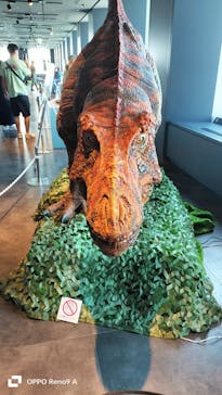 サンシャイン60展望台に投稿された画像（2025/8/4）