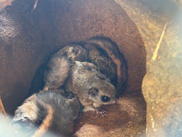 環境水族館アクアマリンふくしまに投稿された画像（2025/8/4）
