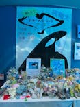名古屋港水族館に投稿された画像（2025/8/4）