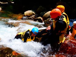 童心に蛙に投稿された画像（2025/8/4）