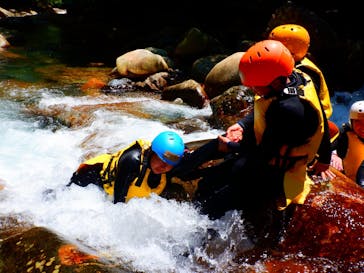 童心に蛙に投稿された画像（2025/8/4）