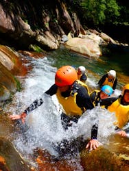 童心に蛙に投稿された画像（2025/8/4）