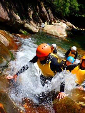 童心に蛙に投稿された画像（2025/8/4）