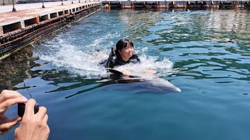 うみたま体験パーク 「つくみイルカ島」に投稿された画像（2025/8/4）