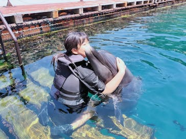 うみたま体験パーク 「つくみイルカ島」に投稿された画像（2025/8/4）