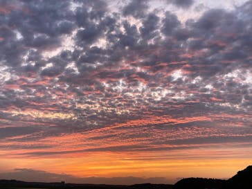 成田の命泉　大和の湯に投稿された画像（2025/8/4）