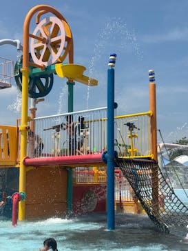 蓮沼ウォーターガーデンに投稿された画像（2025/8/4）