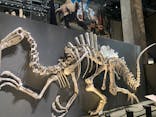 福井県立恐竜博物館に投稿された画像（2025/8/4）
