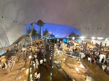 福井県立恐竜博物館に投稿された画像（2025/8/4）