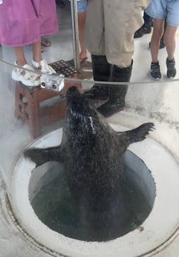 しながわ水族館に投稿された画像（2025/8/4）
