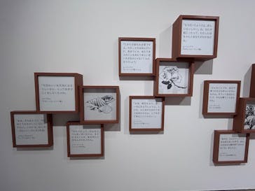 トーベとムーミン展～とっておきのものを探しに～ @森アーツセンターギャラリーに投稿された画像（2025/8/4）