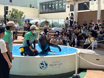 サンシャイン水族館に投稿された画像（2025/8/4）