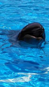 南知多ビーチランド＆南知多おもちゃ王国に投稿された画像（2025/8/4）