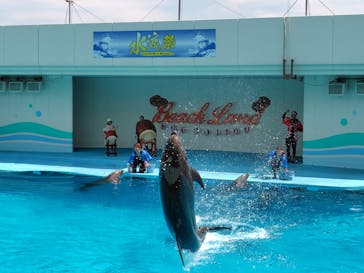 南知多ビーチランド＆南知多おもちゃ王国に投稿された画像（2025/8/4）