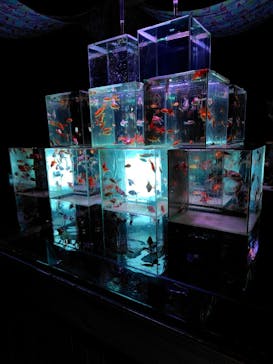 南知多ビーチランド＆南知多おもちゃ王国に投稿された画像（2025/8/4）