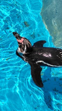 南知多ビーチランド＆南知多おもちゃ王国に投稿された画像（2025/8/4）