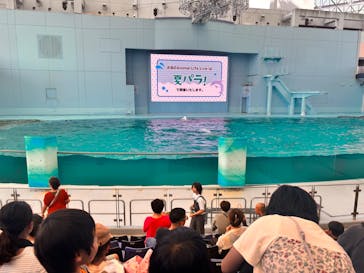 横浜・八景島シーパラダイスに投稿された画像（2025/8/4）