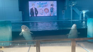 横浜・八景島シーパラダイスに投稿された画像（2025/8/4）