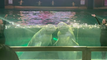 横浜・八景島シーパラダイスに投稿された画像（2025/8/4）