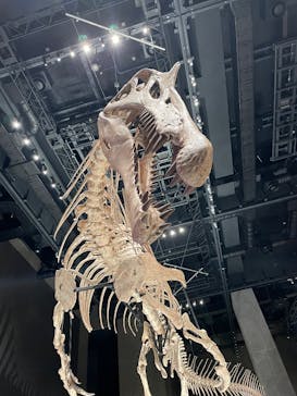 福井県立恐竜博物館に投稿された画像（2025/8/4）