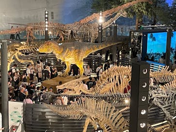 福井県立恐竜博物館に投稿された画像（2025/8/4）