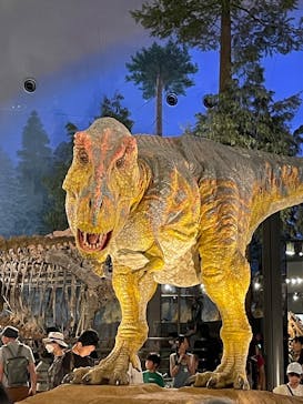 福井県立恐竜博物館に投稿された画像（2025/8/4）