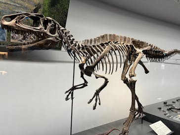福井県立恐竜博物館に投稿された画像（2025/8/4）