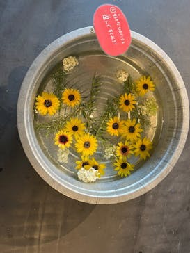 いばらきフラワーパークに投稿された画像（2025/8/4）