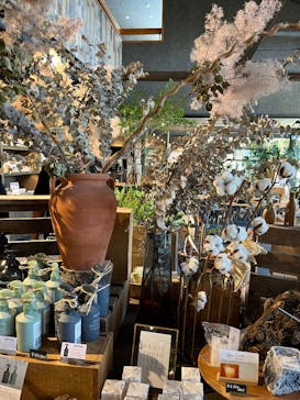 いばらきフラワーパークに投稿された画像（2025/8/4）