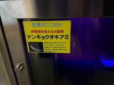 名古屋港水族館に投稿された画像（2025/8/4）