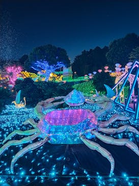 伊豆高原グランイルミに投稿された画像（2025/8/4）