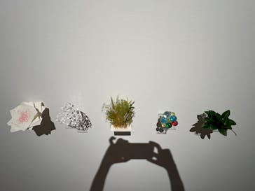 森美術館に投稿された画像（2025/8/4）