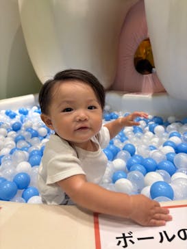 君も博士になれる展 in東京ミッドタウン八重洲に投稿された画像（2025/8/4）