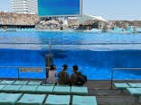 名古屋港水族館に投稿された画像（2025/8/5）