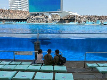 名古屋港水族館に投稿された画像（2025/8/4）