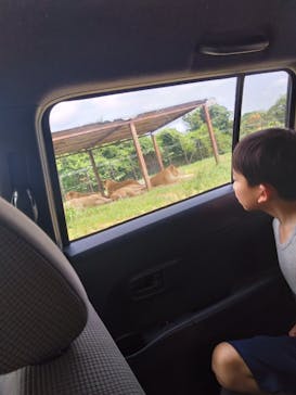 東北サファリパークに投稿された画像（2025/8/4）