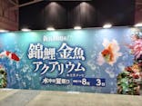錦鯉・金魚アクアリウム in ときメッセに投稿された画像（2025/8/5）