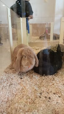 Moff animal world BIGHOPガーデンモール印西店に投稿された画像（2025/8/4）