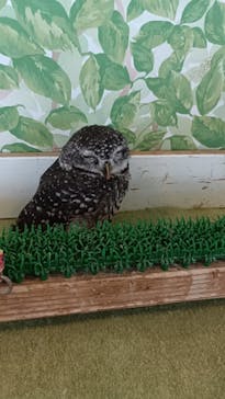 Moff animal world BIGHOPガーデンモール印西店に投稿された画像（2025/8/4）