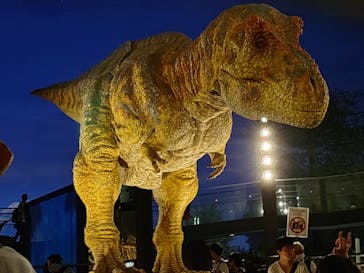 福井県立恐竜博物館に投稿された画像（2025/8/4）