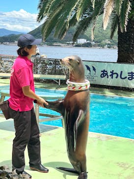 あわしまマリンパークに投稿された画像（2025/8/5）