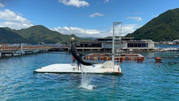 あわしまマリンパークに投稿された画像（2025/8/5）