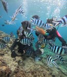 沖縄マリンサービス碧に投稿された画像（2025/8/5）