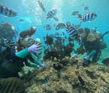 武藤潜水に投稿された画像（2025/8/5）