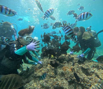 武藤潜水に投稿された画像（2025/8/5）